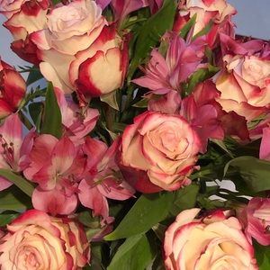 Meet your Posher, Laurie